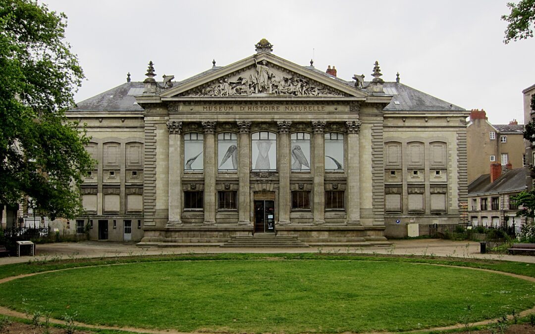 Voyage en JulesVernie: Rencontre avec Guillaume Aubin au Museum d’histoire naturelle