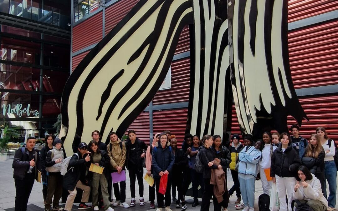 Echange Torrelodones: dernier jour sur Madrid. Museo de la Reina Sofía.